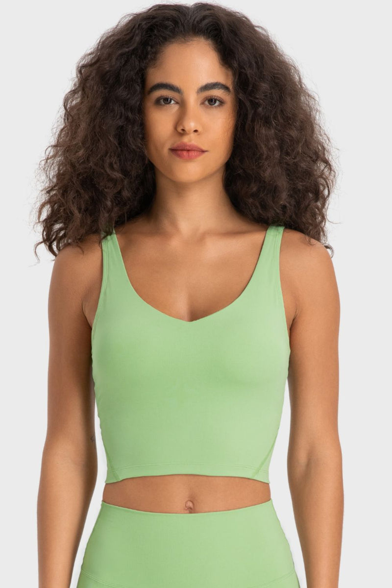 Deep V-Neck Crop Sports Bra - AnnieMae21