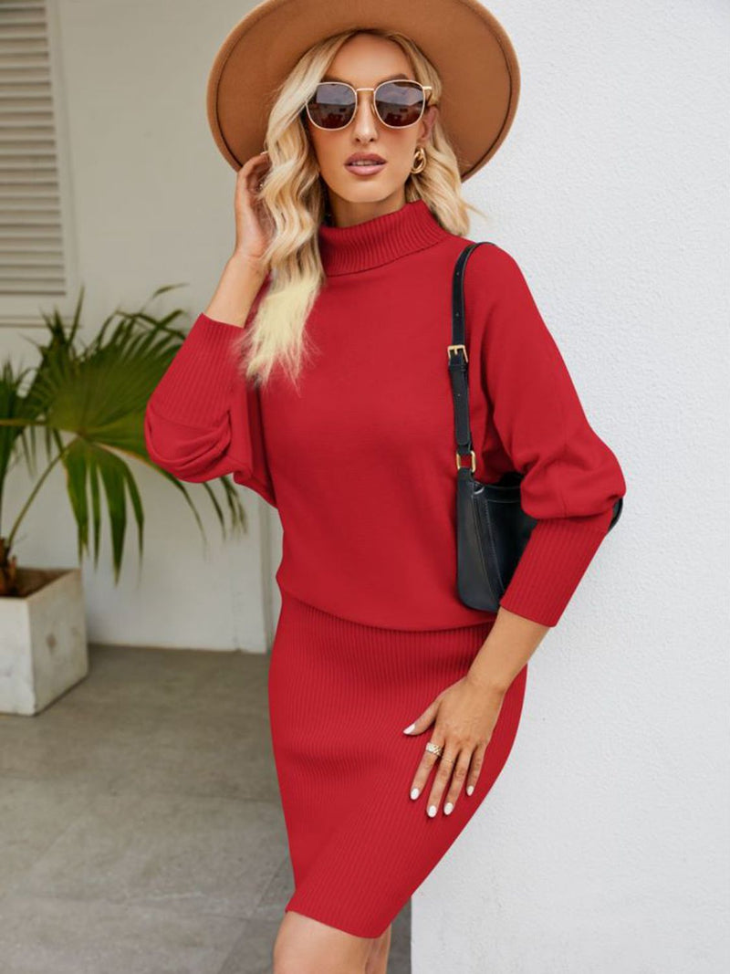 Turtle Neck Long Sleeve Ribbed Sweater Dress - AnnieMae21