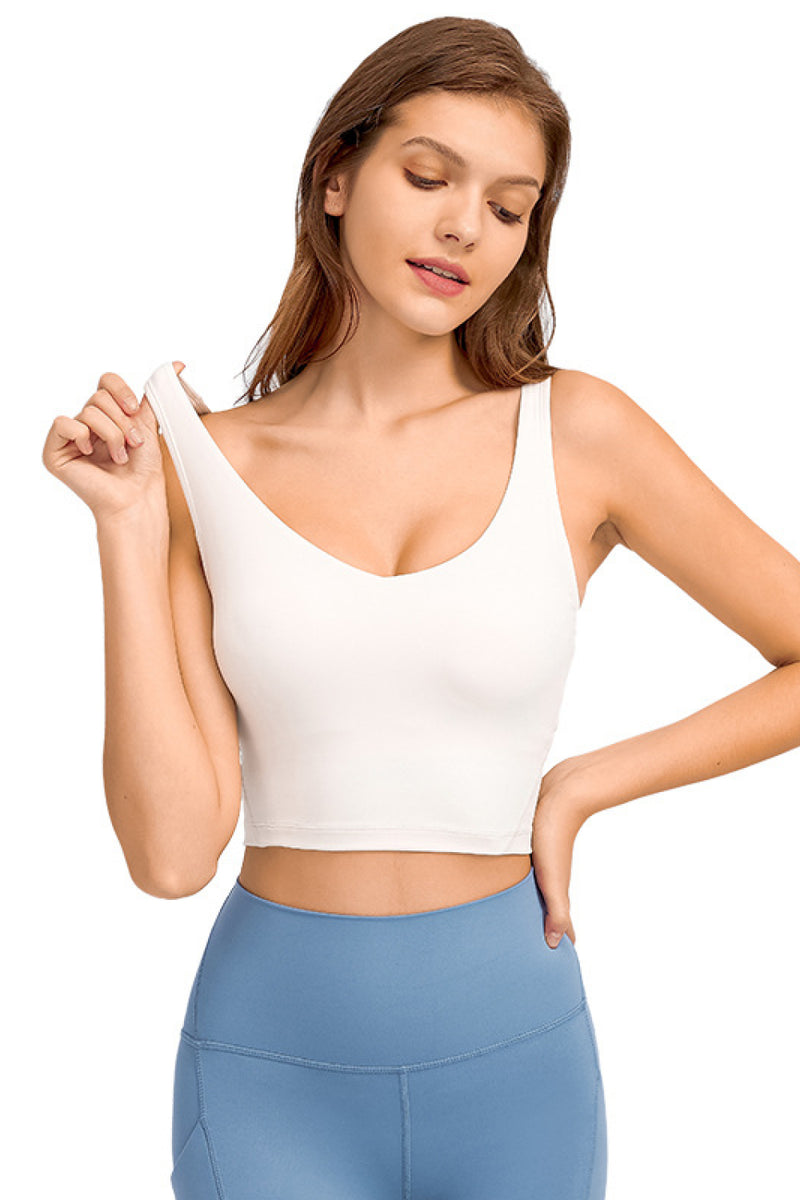 Deep V-Neck Crop Sports Bra - AnnieMae21