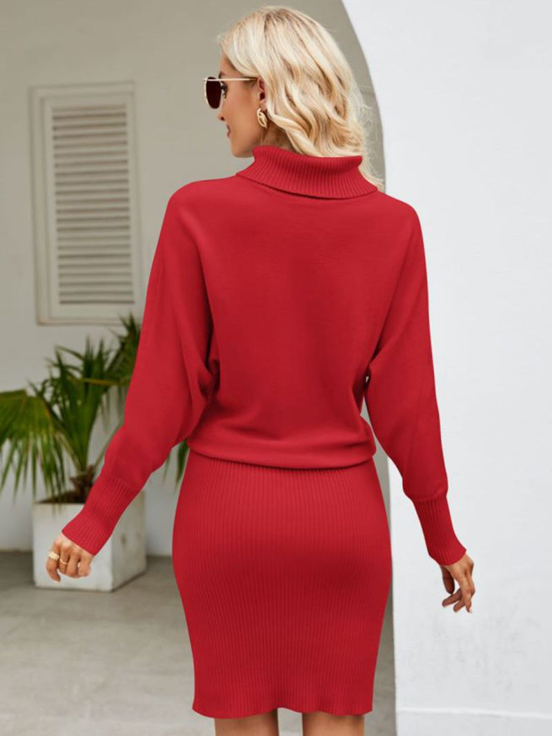 Turtle Neck Long Sleeve Ribbed Sweater Dress - AnnieMae21