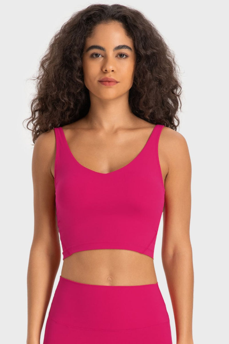 Deep V-Neck Crop Sports Bra - AnnieMae21