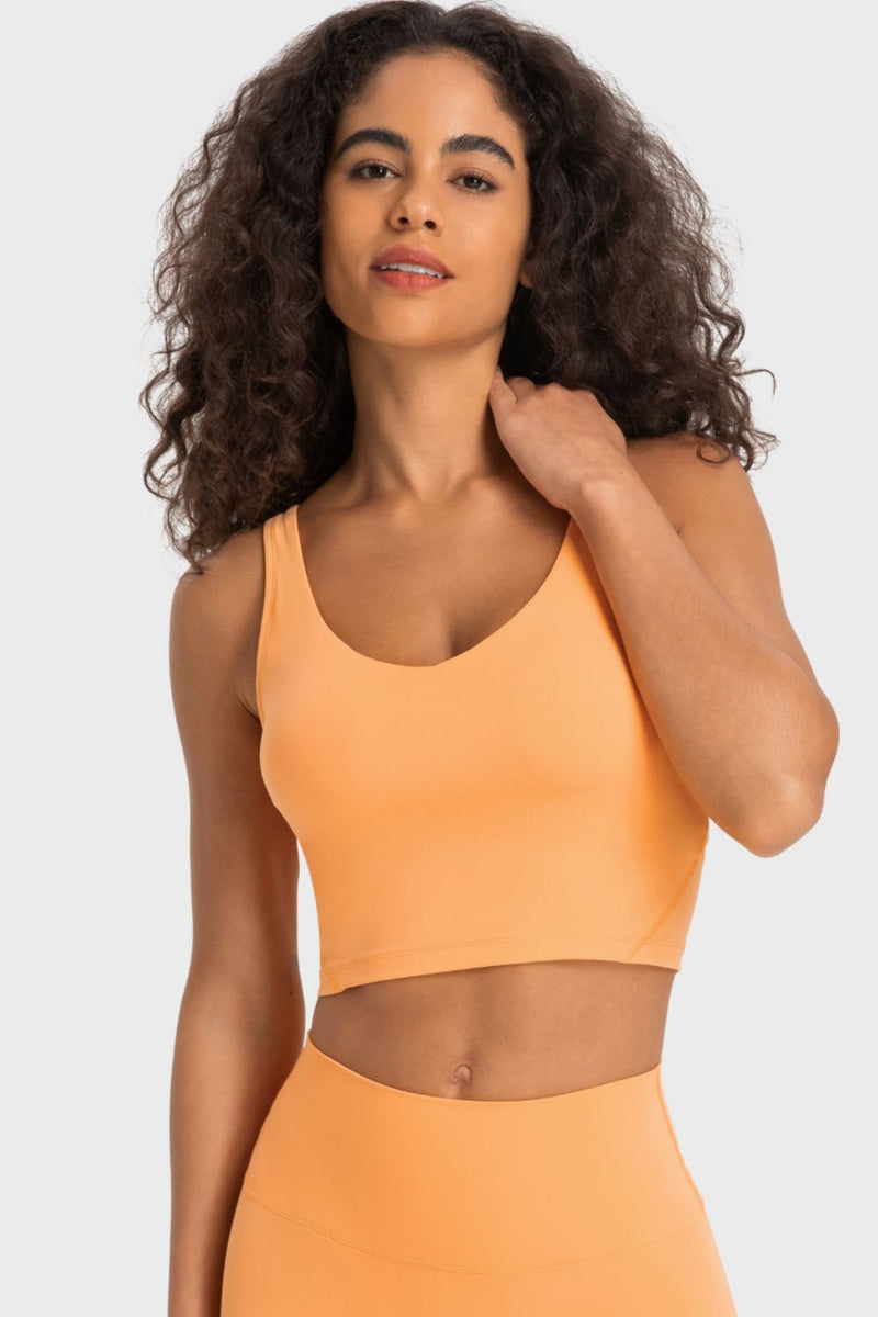 Deep V-Neck Crop Sports Bra - AnnieMae21