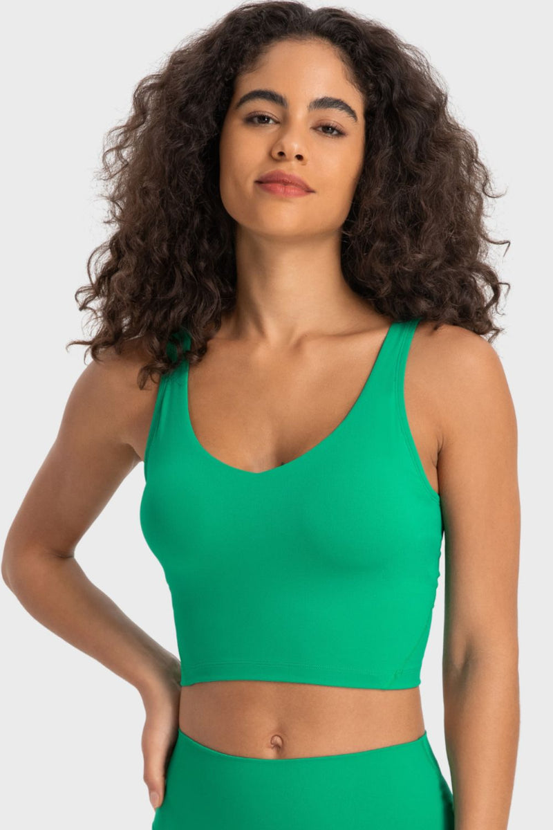 Deep V-Neck Crop Sports Bra - AnnieMae21